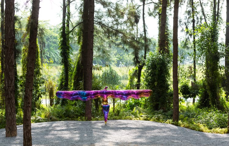 Nghệ sĩ thị giác Đỗ Hiệp: Một "hồn bướm mơ Tiên"